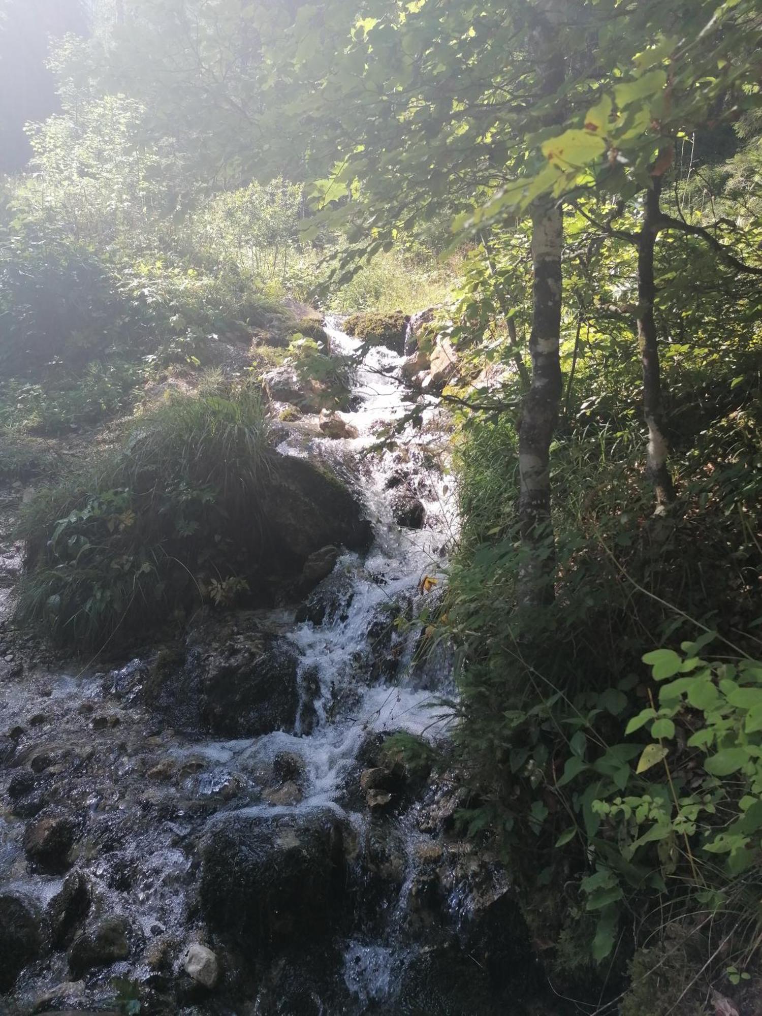 Apart Leitner Daire Lermoos Dış mekan fotoğraf